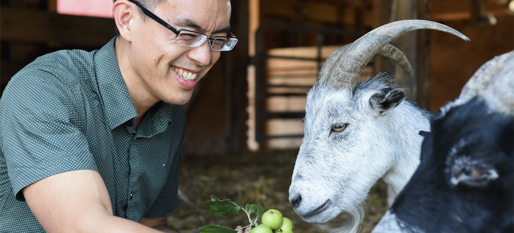 An Animal Rights Activist Saved a Sick Baby Goat From a Farm - and Faces Years in Prison