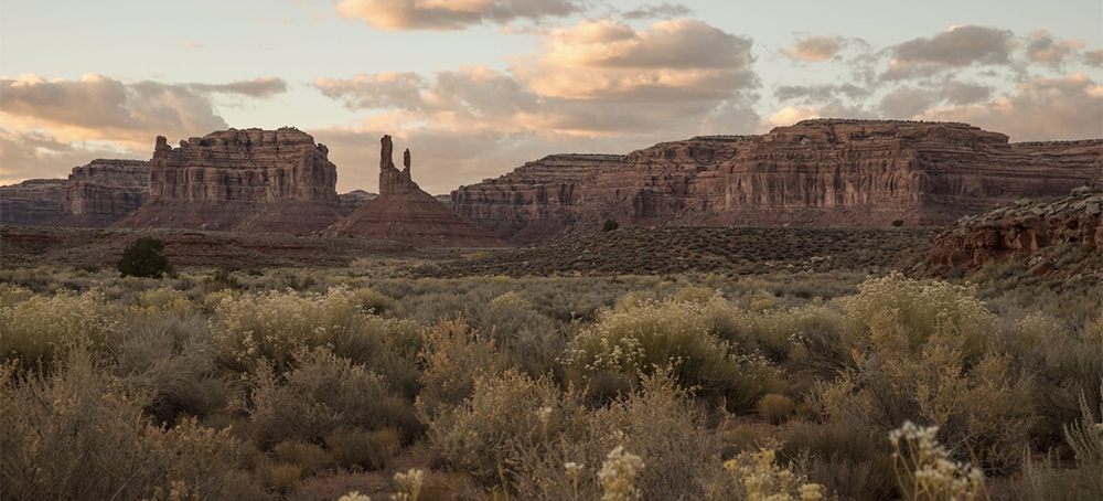 Environmental Groups Call for Immediate Restoration of National Monuments Shrunk by Trump