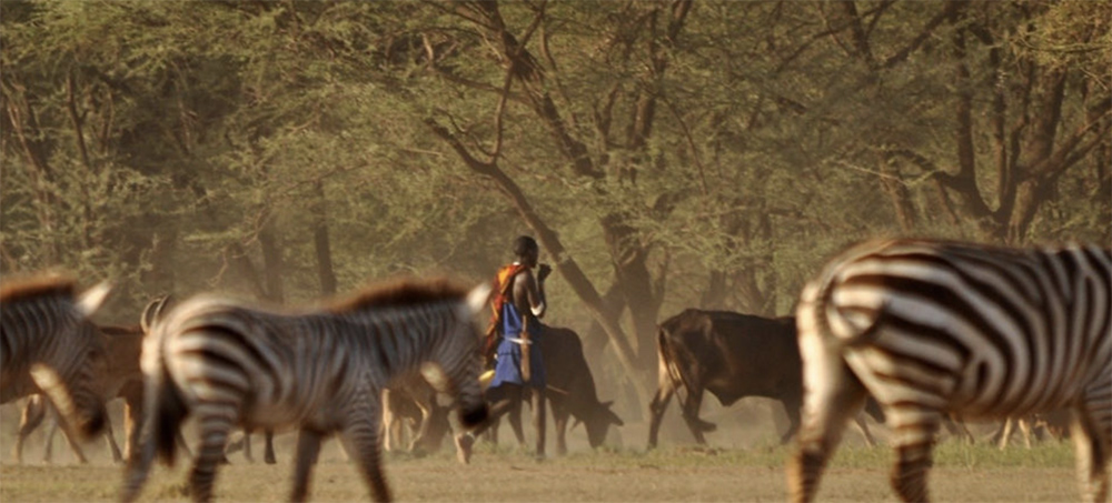 'Conservation Should Be Seen as What Communities Have Always Done,' Says John Kamanga