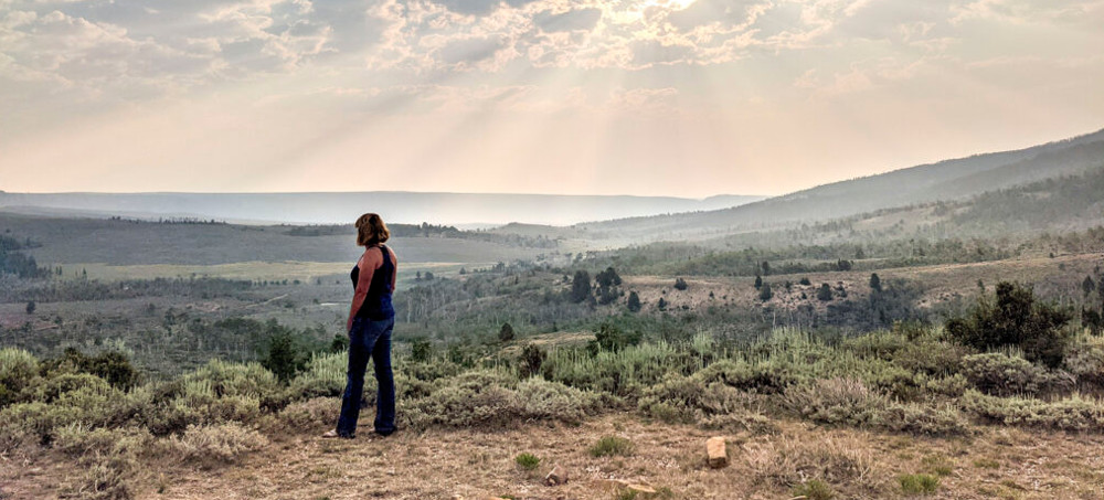 There's Probably Only One Wolf Left in Far Northwest Colorado. Can the State Protect It?