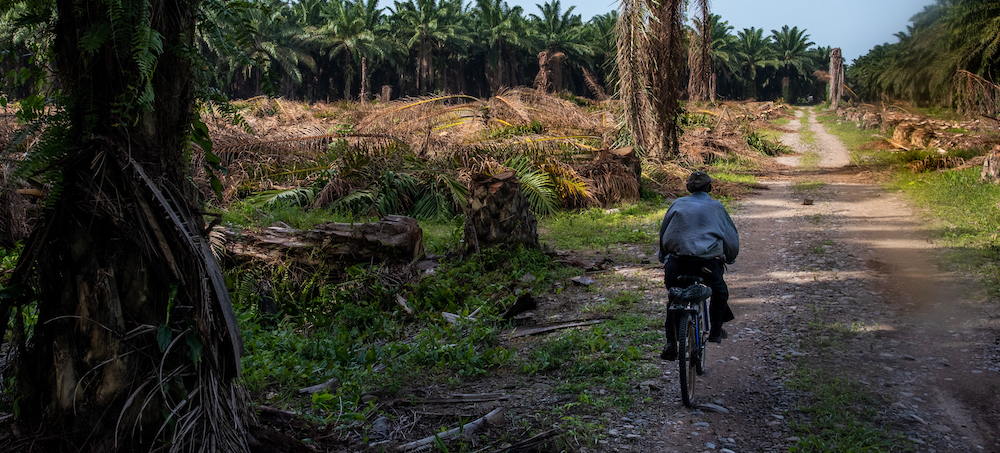 In Honduras Land Battles, Paramilitaries Infiltrate Local Groups - Then Kill Their Leaders