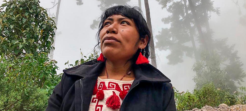 Environmental Defender Missing in Mexico