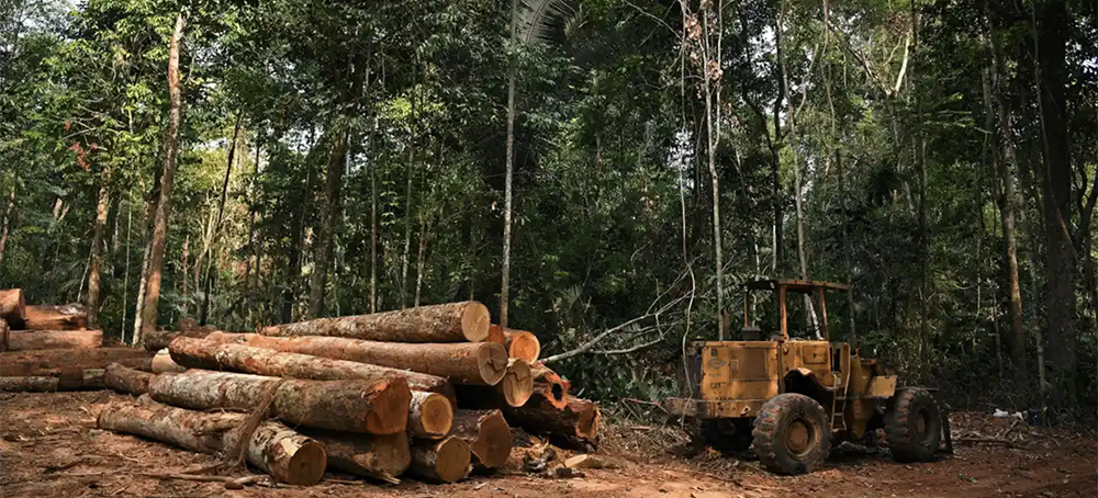 New Study Links Major Fashion Brands to Amazon Deforestation