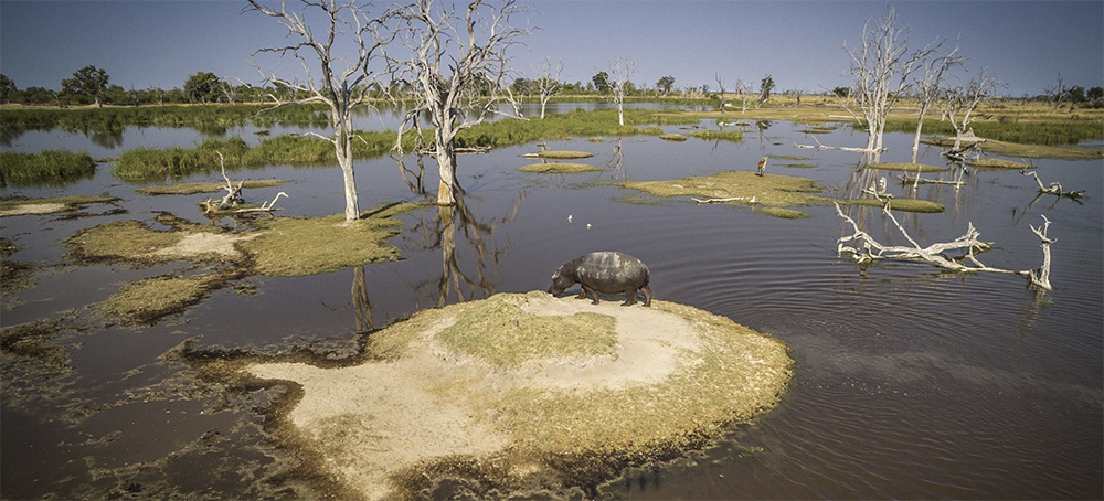 Oil Company Accused of Drilling in African Wildlife Reserve, Offering Jobs for Silence