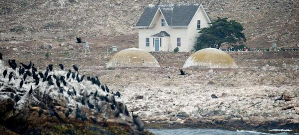 The US Wants to Air-Drop Poison on Farallon Islands Mice. Not Everybody Hates the Idea