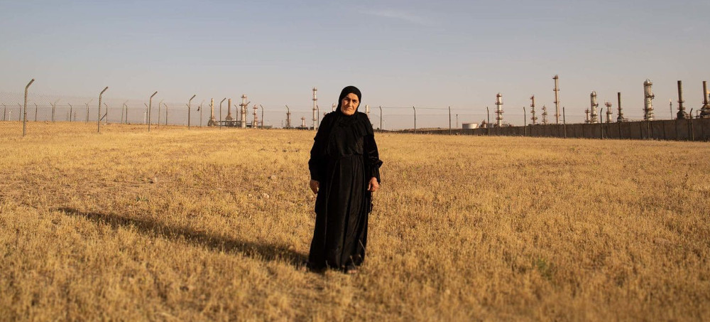 'Everything Living Is Dying': Environmental Ruin in Modern Iraq