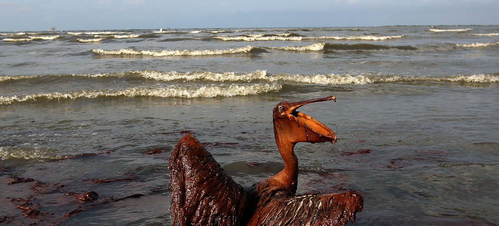 Settlement Reached Over Longest-Running Oil Spill in US History