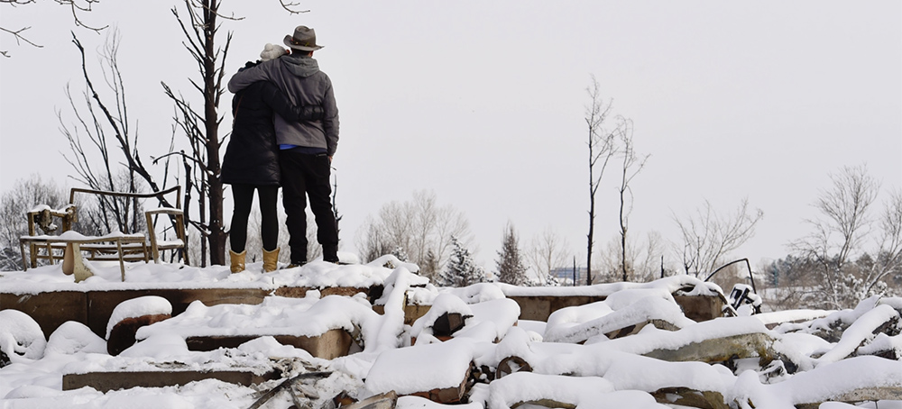 Frantic Search for Pets Underway as Colorado Takes Stock of Fire Devastation