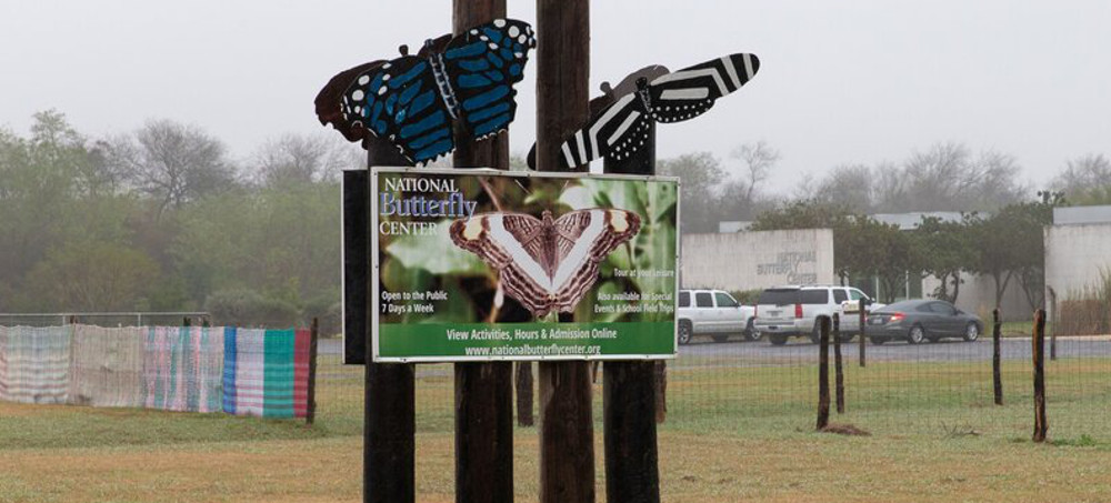 A Butterfly Conservatory Is Shutting Down Due to Right-Wing Harassment