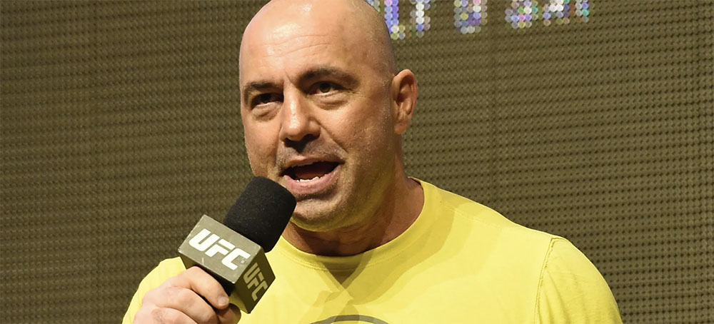 Spotify Quietly Removes 113 Episodes of Joe Rogan's Podcast Amid 'Misinformation' and N-Word Controversy