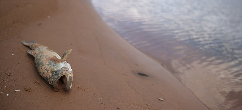 Republicans Respond to World-Historical Drought by Propping Up Fossil Fuels