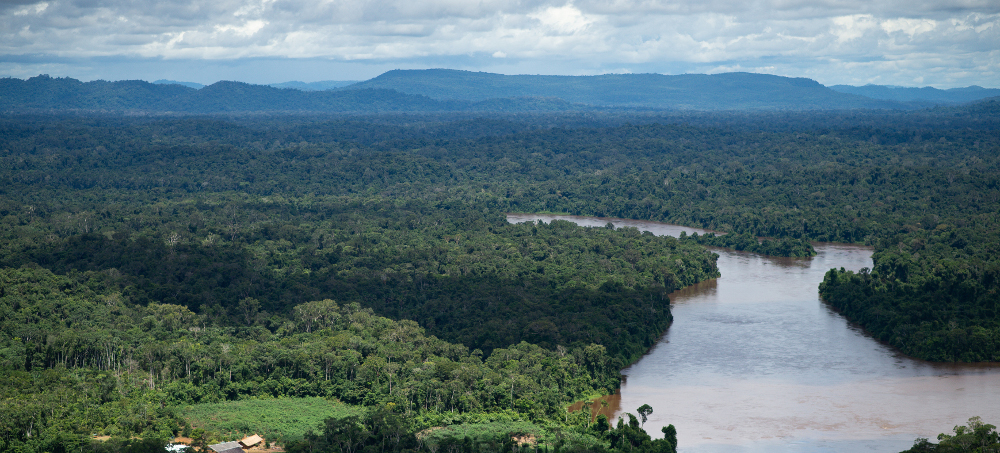 Indigenous Leader Who Defended the Amazon Shot Dead in Venezuela