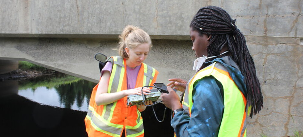 Canadian Researchers Seek Paths for Animals to Migrate in Response to Climate Change