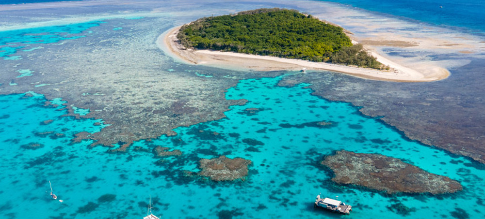 Coral Levels in Some Parts of the Great Barrier Reef Are at the Highest in 36 Years