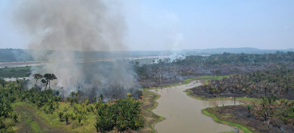 Much Of The Amazon Rainforest Has Hit A Tipping Point And Might Not ...