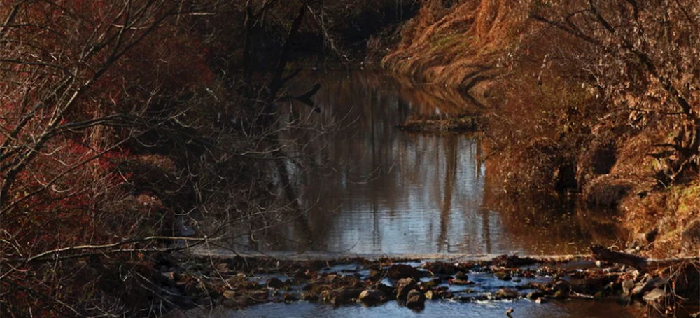 Radioactive Waste Found at Missouri Elementary School