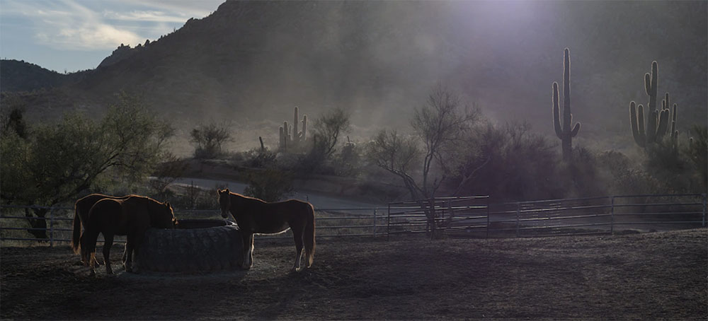 Arizona City Cuts Off a Neighborhood's Water Supply Amid Drought