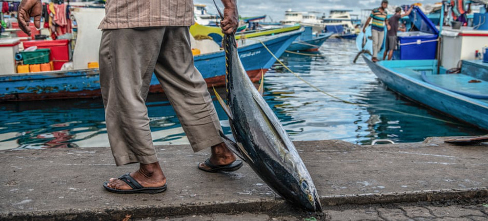 Revealed: Most of EU Delegation to Crucial Fishing Talks Made Up of Fishery Lobbyists