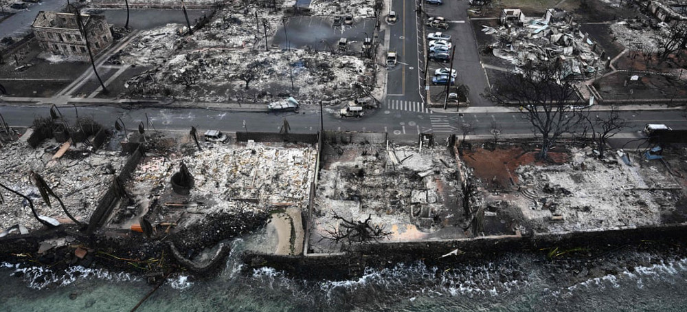 ‘Coral Are Going to Die’: Maui Wildfires Take Toxic Toll on Marine Ecology