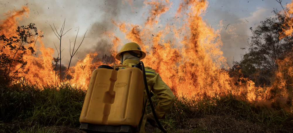 Wildfires Threaten Unique Brazil Ecosystem