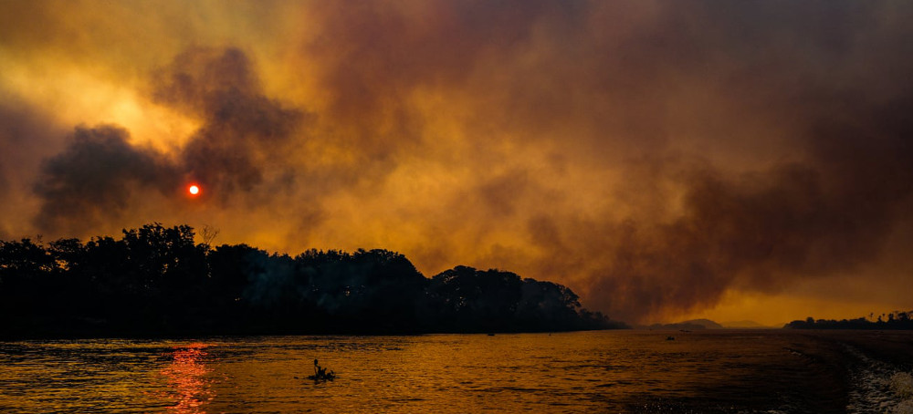 Devastation as World’s Biggest Wetland Burns: ‘Those That Cannot Run Don’t Stand a Chance’