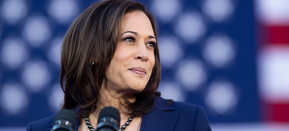 Harris’s Plan for ‘Medicare at Home’ Would Revolutionize Care in America