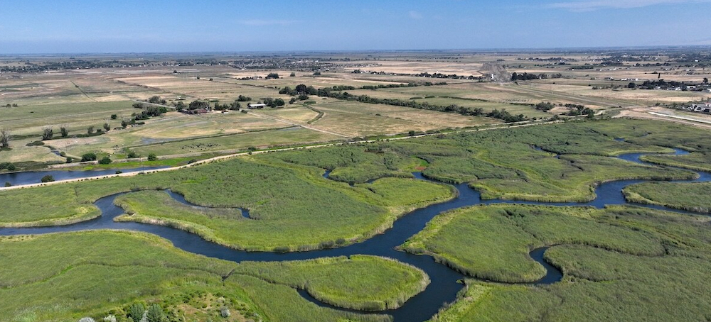 Earth’s Land and Trees Absorbed Almost No Net Carbon in 2023