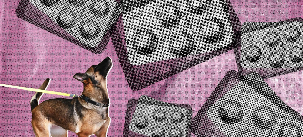 Undelivered: Drug-Sniffing Police Dogs Are Intercepting Abortion Pills in the Mail