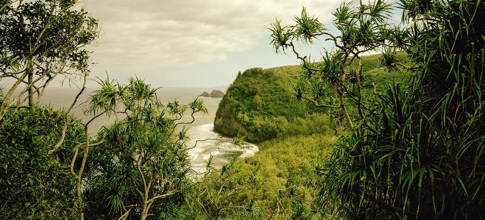 The Hawaiians Who Want Their Nation Back