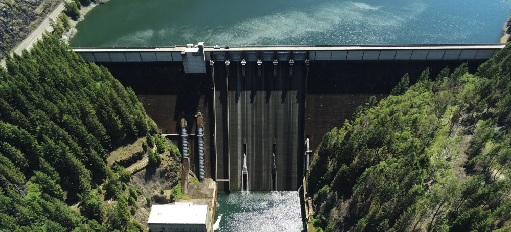 Hydroelectric Dams on Oregon’s Willamette River Kill Salmon. Congress Says It’s Time to Consider Shutting Them Down.